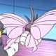 Special/Other Trainers's Venomoth