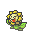Sunflora