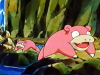 Episode 262: Slowking! King's Rock!