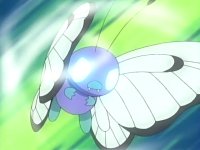 http://www.serebii.net/anime/characters/pics/butterfree2.jpg