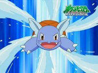 http://www.serebii.net/anime/characters/pics/wartortle.jpg