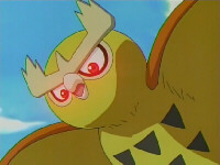 http://www.serebii.net/anime/pictures/houen/S7/0224.JPG