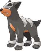 Houndour Art