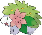 Shaymin Art