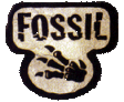 Fossil Set Icon