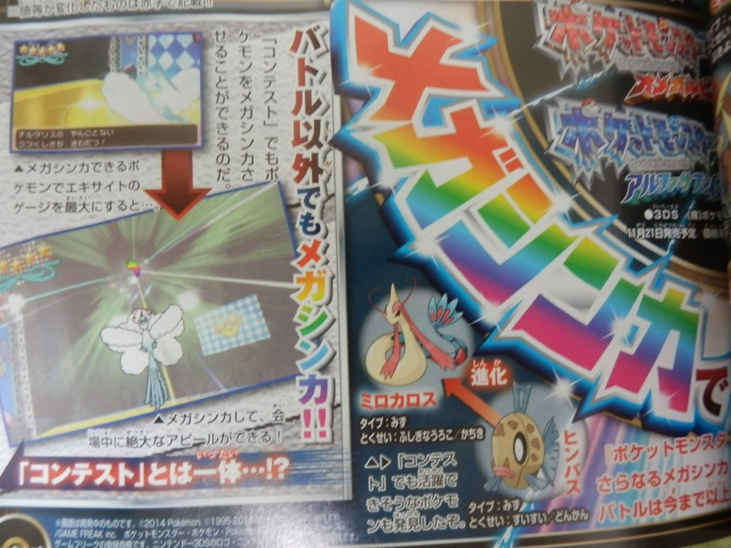 corocoro9147.jpg