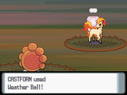 Weather Ball