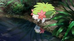 Giratina e o Buquê do Céu! ~ Shaymin, Pokémon