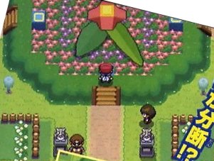 http://www.serebii.net/platinum/eternagym2.jpg