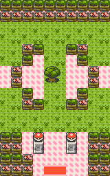 Azalea Town - Gym