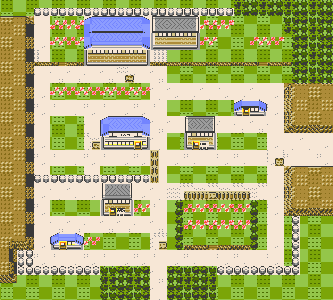 Pewter City