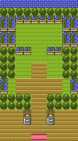 Celadon City - Gym