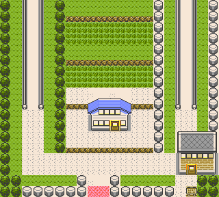 Route 5