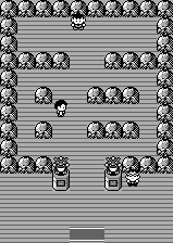 Pewter City - Gym