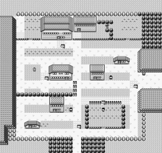 Pewter City