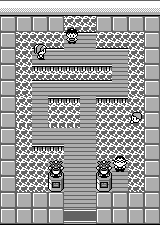 Cerulean City - Gym
