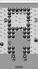 Celadon City - Gym