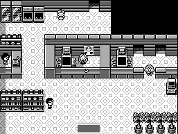Indigo Plateau - Pokemon League