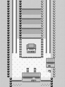 Route 5