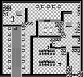 Pokemon Mansion - 1F