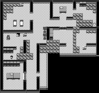 Pokemon Mansion - 2F