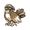 Pidgeotto