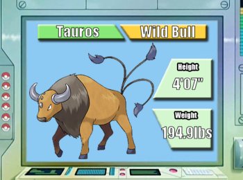 Tauros