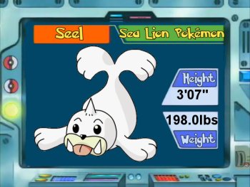 Seel