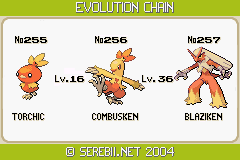 At what level does Torchic evolve?