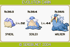 Sealeo Evolution Chart