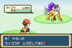 raikou.gif