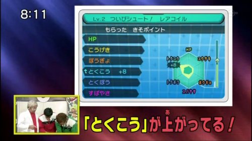 smash91big.jpg