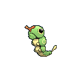 Caterpie