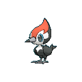 Pikipek