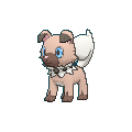 Rockruff