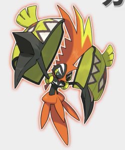 tapukoko