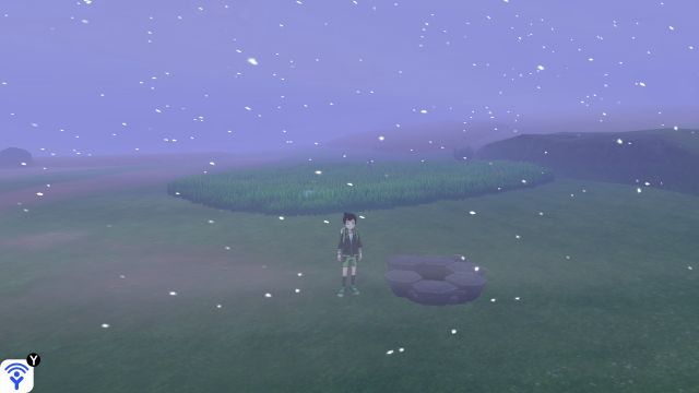 Stony Wilderness - Pokémon Den