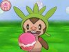Demo - Chespin in Pokmon Amie