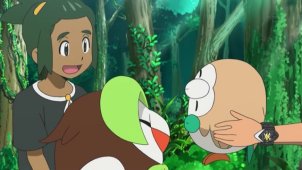 Dartrix the Master!!! Rowlet the Sleeperzzz 