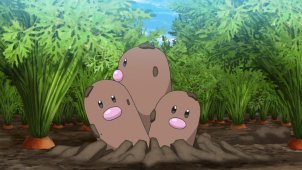 Hands-On Agriculture Studies! Where is Diglett?!