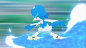 Step By Step! Dot & Quaxwell!!