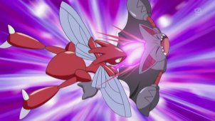 Air Battle Master Appears! Gliscor VS Scizor!