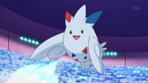 Dancing Togekiss! Pokmon Contest Princess!!