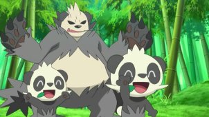 A Chase Through the Bamboo Grove! Pancham & Pangoro!!