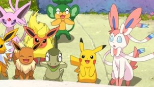 Eevee & Friends 