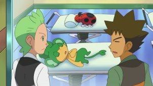 Cilan and Brock! Gyarados' Outrage!!