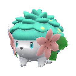 Shaymin/Shiny, PokéMeow Wiki