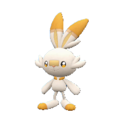 Scorbunny 813 Serebii Pok dex
