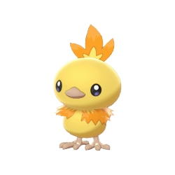 Pokemon 2255 Shiny Torchic Pokedex: Evolution, Moves, Location, Stats