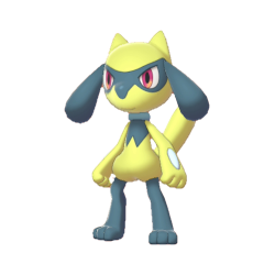 Shiny Riolu, Lucario from Shiny Treasure ex! 